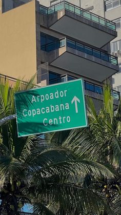 a green street sign hanging from the side of a palm tree next to a tall building