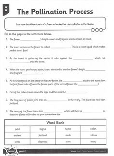 the pollution process worksheet with answers for students to use in science and technology