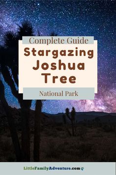 the joshua tree national park with text overlay reading complete guide stargazing joshua tree