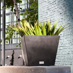 a planter sitting on top of a cement block