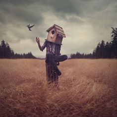 a person sitting in a field with a bird house on their head, and a bird flying overhead