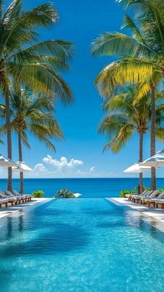 an outdoor swimming pool surrounded by palm trees