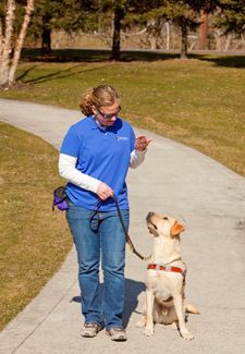 a woman is walking her dog on a leash down the sidewalk in front of some trees