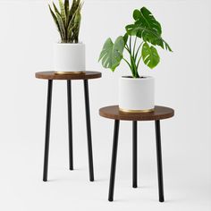 two plant stands with plants on them