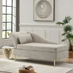 a living room with a couch, rug and potted plant