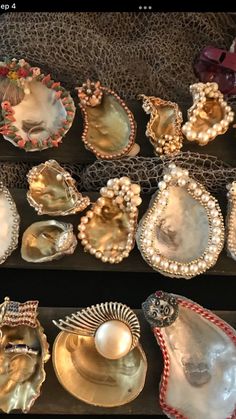 many different types of seashells on display in a store window, some with pearls