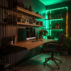 a desk with a computer on it in front of some shelves filled with potted plants