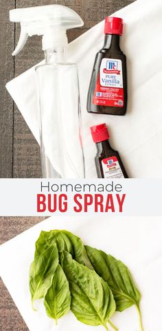 the ingredients to make homemade bug spray