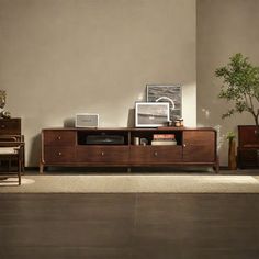 a living room scene with focus on the entertainment center and tree in the corner,