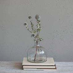 a glass vase filled with flowers sitting on top of a book