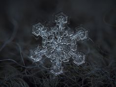 a snowflake is shown on the ground with grass in the foreground and dark background