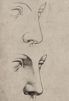 an old drawing of a woman's face and nose