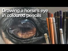 a horse's eye is shown with colored pencils next to it and the words drawing a horse's eye in colored pencils