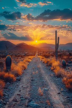 the sun is setting over a dirt road with cacti in the foreground