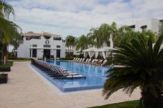 an empty swimming pool with lounge chairs and palm trees in the foreground, next to a large white building