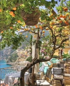 an outdoor dining area with oranges on the trees and water in the back ground