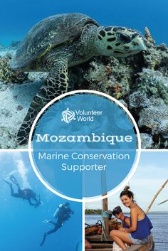 a collage of marine conservation pictures with the words mozzambrique marine conservation support