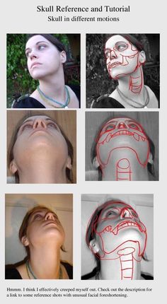 four different views of the face and neck, with instructions to draw them in red