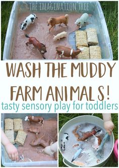 the words wash the muddy farm animals are in front of an image of children's toys