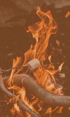 a marshmallow sitting on top of a stick in the middle of a fire