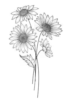 black and white drawing of three sunflowers