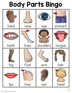 body parts bingo game for kids to play with their hands and feet, including the eyes