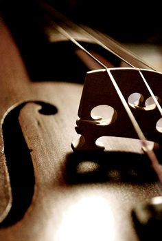 the strings of a violin are visible in this close - up photo, which is almost identical to the rest of the instrument