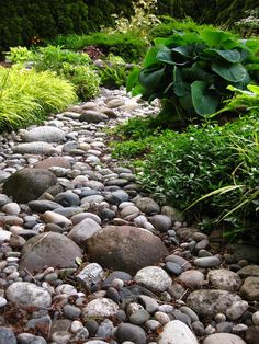 there are many rocks and plants in the garden that you can see on this path