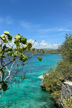 the water is crystal blue and clear