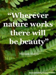 a quote on nature that reads, wherever nature works there will be beauty william morris