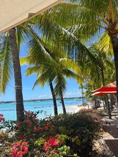 the beach is lined with palm trees and flowers