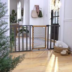 a cat is sitting on the floor in front of a gated entryway with a dog