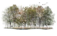 an artist's rendering of trees with birds flying over them