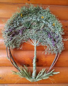 a bunch of plants that are on top of a wooden wall and hanging from the ceiling