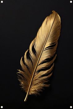 a golden feather on a black background with white dots in the foreground and an empty space for text