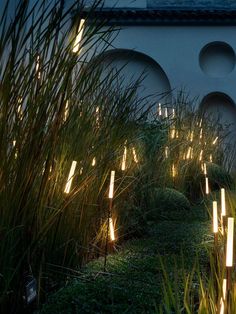 some plants and lights in front of a building