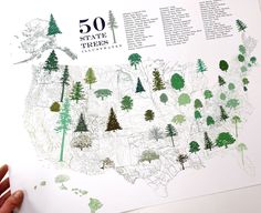 a hand holding up a map with trees on it and the 50 states marked in green