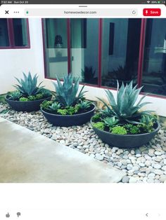 three planters filled with succulents and rocks in front of a building