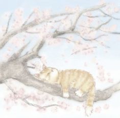 an orange and white cat sitting on top of a tree branch next to pink flowers