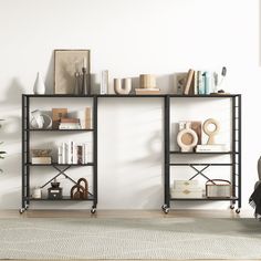 a living room scene with focus on the bookshelf and rug in the foreground