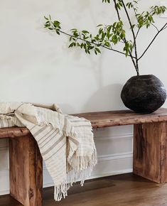 a wooden bench sitting next to a potted plant on top of a hard wood floor