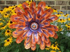 an orange and purple flower with yellow flowers in the background