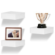 three white shelves with two pictures and a gold trophy on each shelf, one holding a small cat