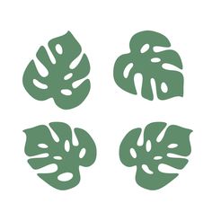 four green leaves are shown in the shape of three different shapes, each with one large leaf