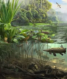 an artist's rendering of a fish swimming in the water with plants and other aquatic life