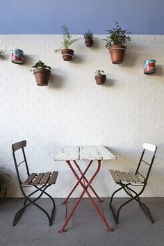 two chairs and a table in front of a wall with potted plants on it