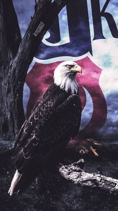 an eagle sitting in front of a pepsi sign