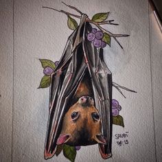 a drawing of a bat hanging upside down on the side of a wall with leaves and berries around it