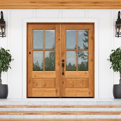 two potted plants are sitting on the steps in front of a wooden door with glass panes