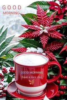 a red coffee cup sitting on top of a saucer next to some plants and snow